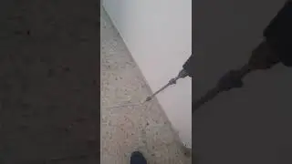 הדברת טרמיטים בדירה - אלדר הדברות