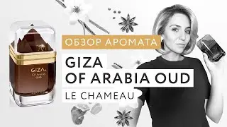 Обзор аромата Giza Of Arabia Oud Le Chameau — сделано в Clipchamp