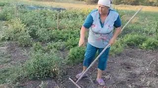Что сделали, то сделали. Работа не волк...!!! Живём в станице, на Кубани.