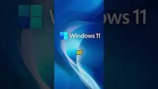 Windows 11 in Crisis! 🖥️📉 What will happen to Windows 10? 