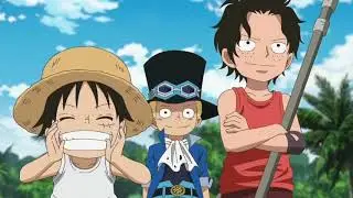 One Piece - Sabo Visit Ace Grave !