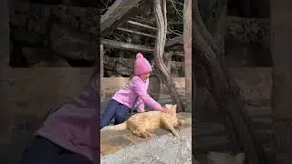 Ксюша и котик 1 часть