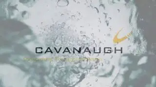California Water Loss TAP Interviews