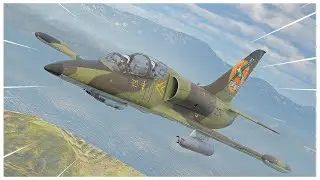 Flying the Crazy Czech Jet that Faces PROPS? // L-39 ALBATROS