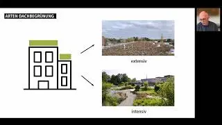 Grün auf Dach und Fassade - Vorteile und Planung