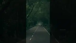 কিছু শুর তুমি এনে দাও !