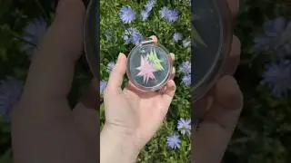 для заказа в телеграм канал : alya enapik ! 