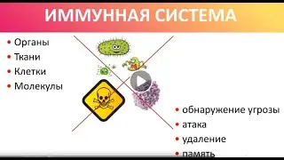 ИММУНИТЕТ. Как самостоятельно укрепить, повысить, нормализовать, сбалансировать