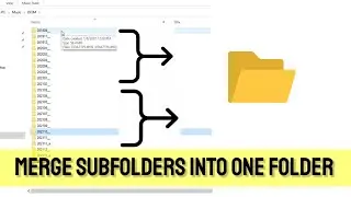 Merge subfolders files into one folder | View all files in all folders at a tine with single click