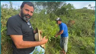 PEGAMOS GABIROBA NO PASTO
