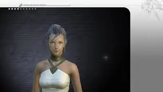FFXIV 1.0 Character Creataion