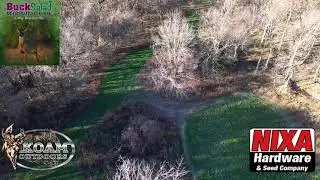 Deer Plot Seed- Aerial Footage of Buck Salad 6-Way Brassica Mix