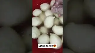 Новая пария моцареллы🧀😍А Вы любите моцареллу❓ #сыр#моцарелла#рецептымоцареллы#страчетелла#буратта