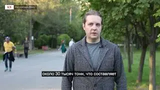 Откуда рекорды? Что происходит в сельском хозяйстве Ростовской области
