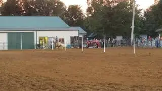 Cooper Poles July 2019