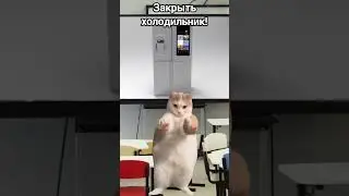 #ютуб #рекомендации #cat #мем новый видосик!!!🎥😏👌#актив #прикол 😜