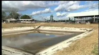Water's Journey featuring Wes Skiles (2010)