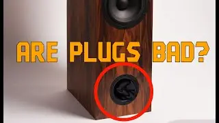 Will Port Plugs Destroy Your Speakers?!