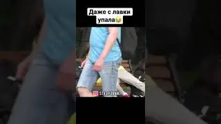 Ленивец пугает людей 