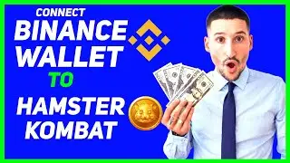 How To Connect Binance Wallet To Hamster Kombat (Beginner’s Guide)