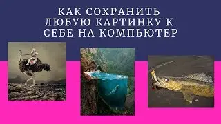 Как сохранить любую картинку к себе на компьютер