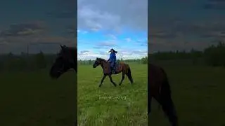 СВЕТЛЫЙ ФРИЗ ПЕРЕСВЕТ 💔 #конныйблог #horse #конныйтуризм #конныепрогулки #лошади #галоп #equestrian