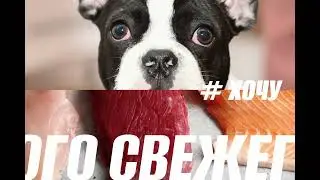 LIMKORM PARK ZOO  20 сентября ФИН