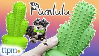 Pamlulu Cactus Dog Toy