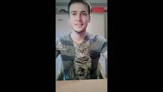 Los Videos Más Virales de mi Gata! - PARTE 3!