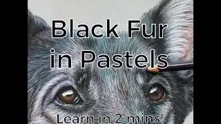 How to draw BLACK FUR in pastels - 2 min step by step tutorial!
