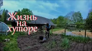 Сажаю огород. Деревенские будни