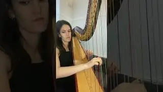 You've Got A Friend In Me performed by Lara | Solo Female Harpist