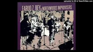 Faruq Z. Bey & Northwoods Improvisers (selected tracks)