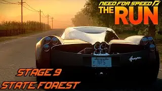 Need for Speed: The Run ЭТАП 9 "ЗАПОВЕДНИК"