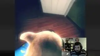 Among the Sleep