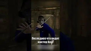 Последнее что видит мистер Хаус
