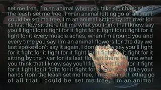 Sega Bodega - Set Me Free, I'm an Animal (Lyric Video)