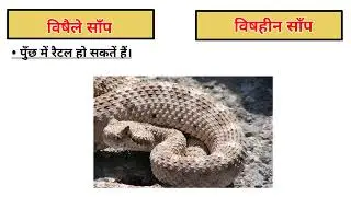 जहरिले और विषहीन साॅंपों में अंतर । poisonous & non-venomous snake । साॅंपों की पहचान ।