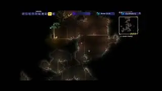 The HOLE