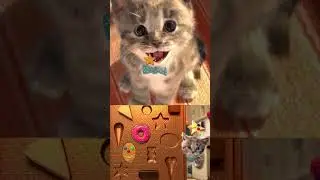 Cute Cat Adventure on @iMilkin