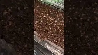 Мое маленькое достижение.