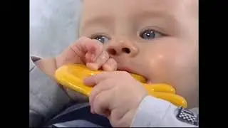 Baby Da Vinci The Five Senses Reversed