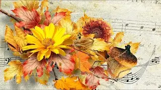 Праздничный концерт ко Дню учителя. ДМШ им. Т.А. Докшицера
