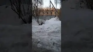 Кому рожает девушка?