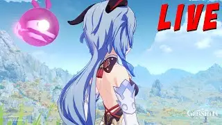 LIVE! wew - Genshin Impact