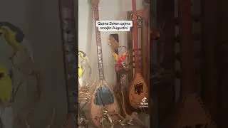 Qajma Zeken e Smajlin-Augustini