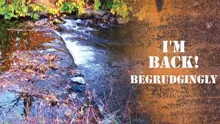 I'm Back! Sortof......