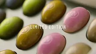 Limited Edition - Spring Collection 2021