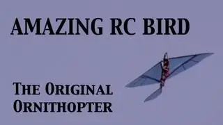 AMAZING ROBOT BIRD!! Original RC Ornithopter!!