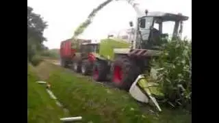 mais hakselen 2013 kramer en verkleij